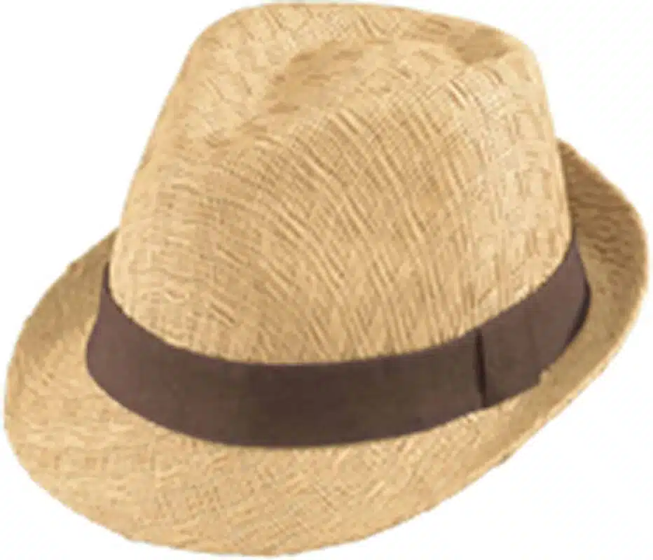 henschel Makah Straw Fedora Hat