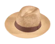 Henschel Nerina Panama Straw Hat
