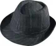 Henschel Prato Fedora Hat
