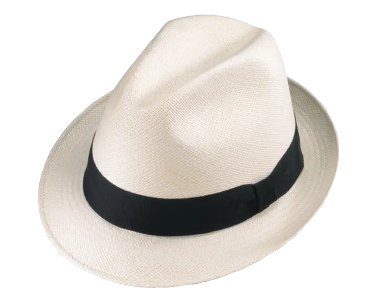 Henschel Teddy King Panama Hat