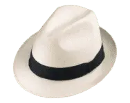 Henschel Teddy King Panama Hat
