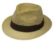 Henschel Trilby Panama Hat