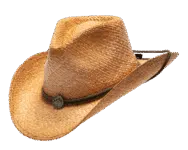 Henschel Tuscola Western Straw Hiker Hat