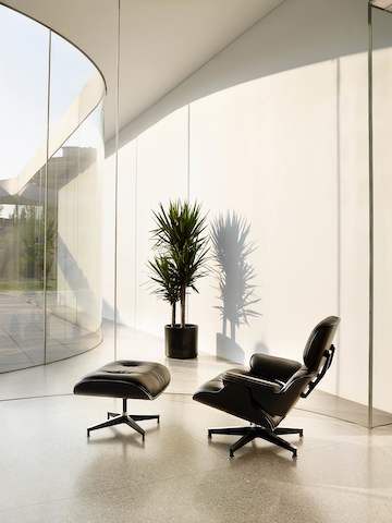 Herman Miller Eames Lounge Chair And Ottoman