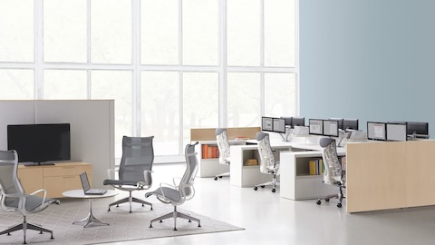 Herman Miller Ethospace System