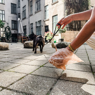 Hevea Dog Poop Bag & Treat Keeper Case In Natural Rubber