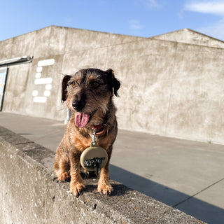 Hevea Dog Poop Bag & Treat Keeper Case In Natural Rubber
