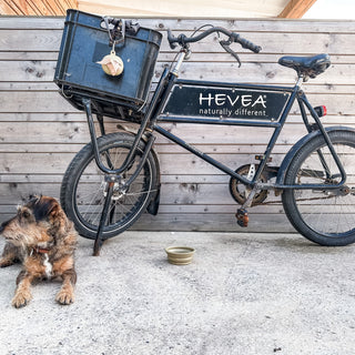 Hevea Dog Poop Bag & Treat Keeper Case In Natural Rubber