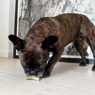 Hevea Universe Starter Set For Puppies