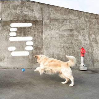 Hevea Planet Ball 2-in-1 Dog Activition & Fetch Toy In Natural Rubber