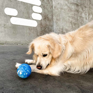 Hevea Planet Ball 2-in-1 Dog Activition & Fetch Toy In Natural Rubber