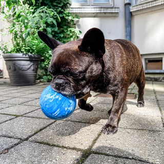 Hevea Planet Ball 2-in-1 Dog Activition & Fetch Toy In Natural Rubber