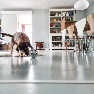 Hevea Stellar Ball 2-in-1 Dog Activition & Fetch Toy In Natural Rubber - Shape