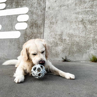 Hevea Stellar Ball 2-in-1 Dog Activition & Fetch Toy In Natural Rubber - Shape