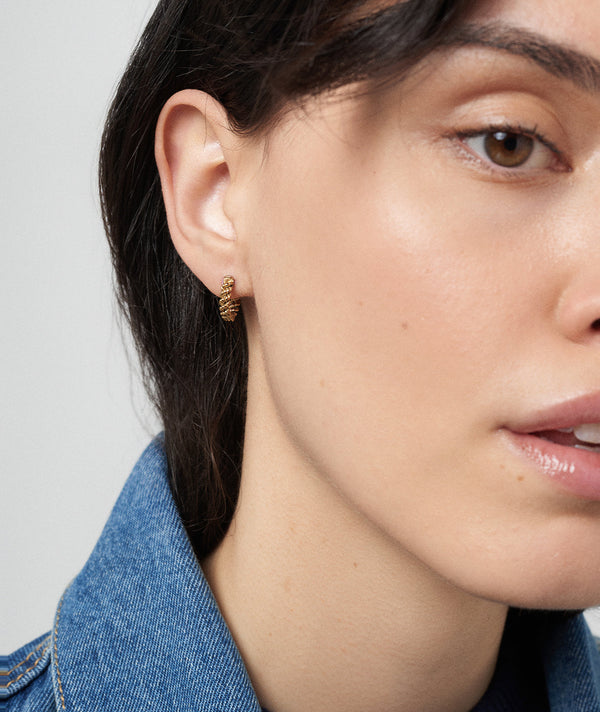 Hey Harper Holly Huggies