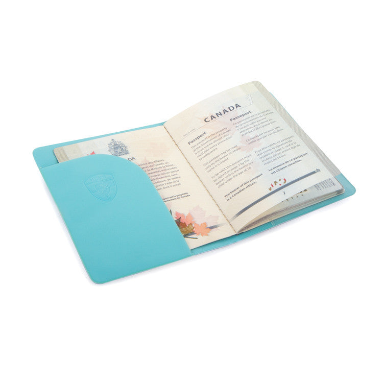 Heys Disney Passport Holder - Frozen (D-TA-ST-PH-FZ02-14FA)