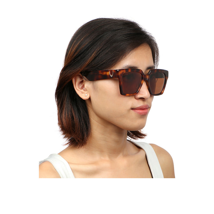 Hidesign MALLORCA LARGE WAYFARER SUNGLASS Brown