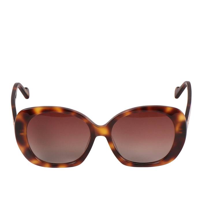 Hidesign PALMA BUTTERFLY SUNGLASS Brown