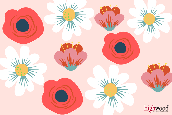 Highwood USA Spring Blooms