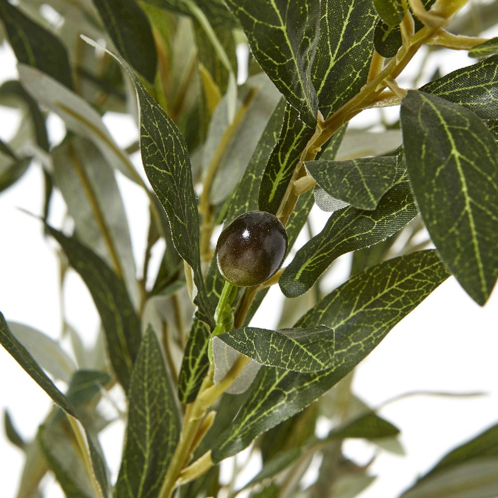 hill interiors Apulia Olive Tree In White Pot 210Cm