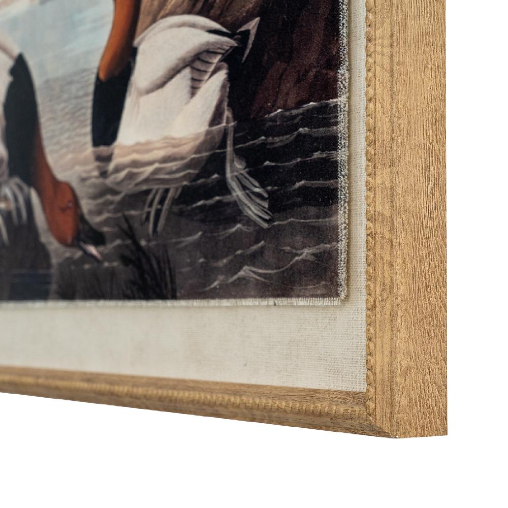 hill interiors Flora & Fauna Collection Pochards On Linen In Beaded Frame