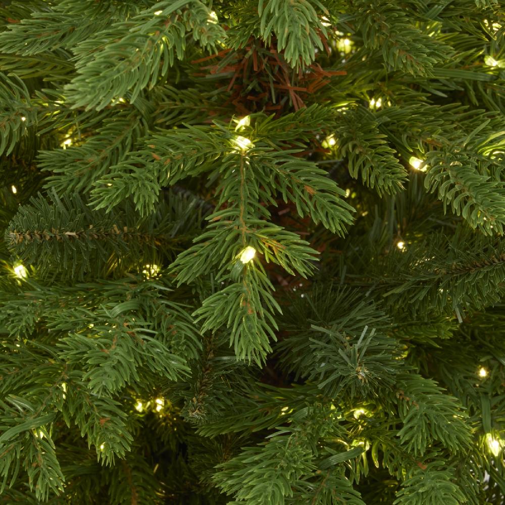 Hill Interiors Green Forest Fir Pre-Lit Led 300L Christmas Tree In Pot