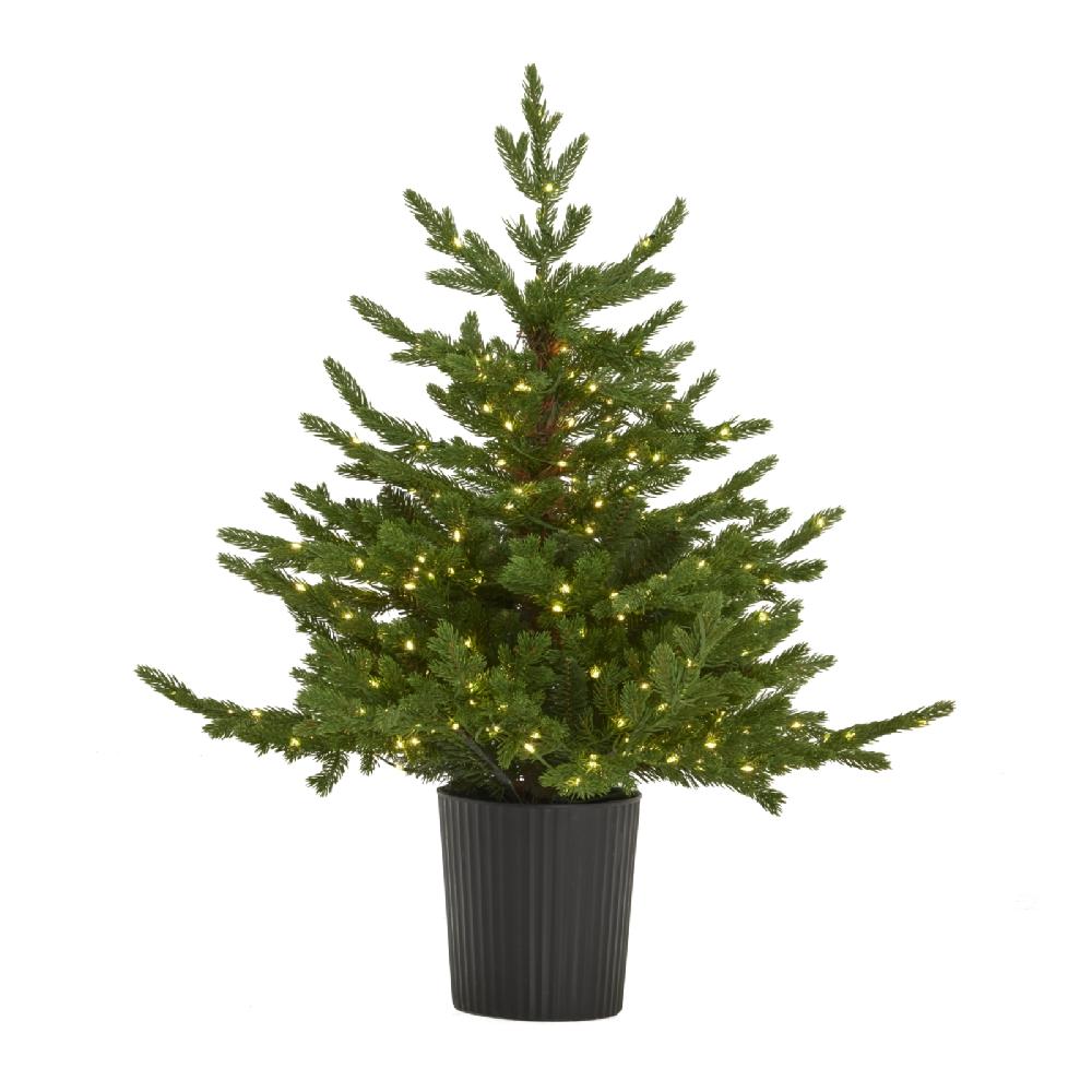 hill interiors Green Forest Fir Pre-Lit Led 300L Christmas Tree In Pot