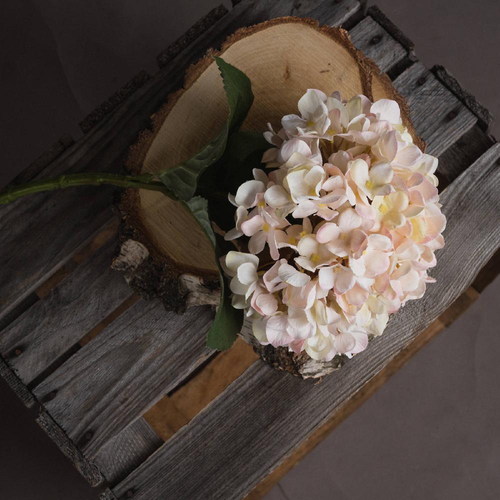 hill interiors Autumn White Hydrangea