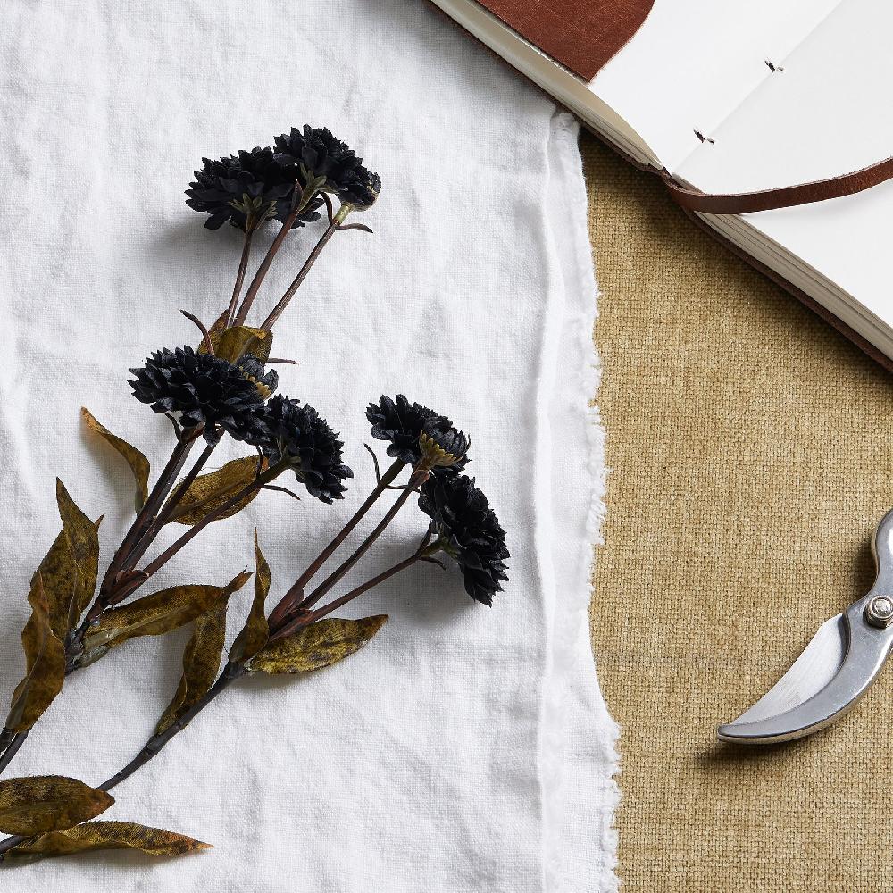 hill interiors Black Chrysanthemum