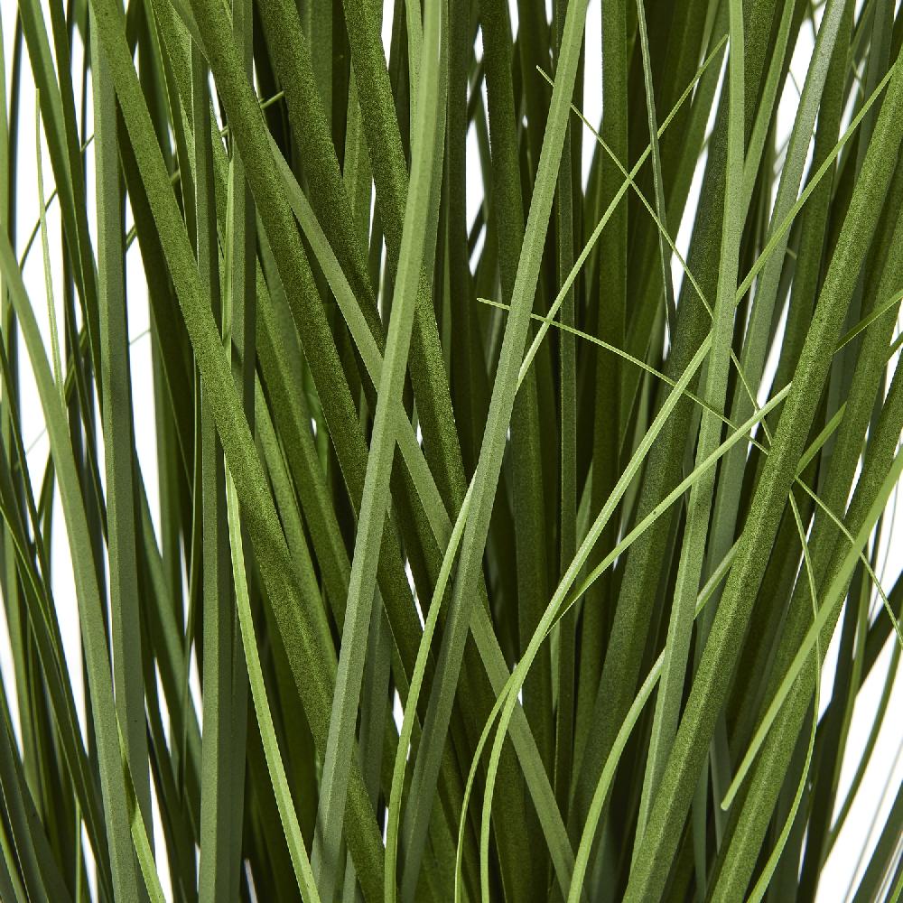 Hill Interiors Blue Agapanthus Plant In Pot