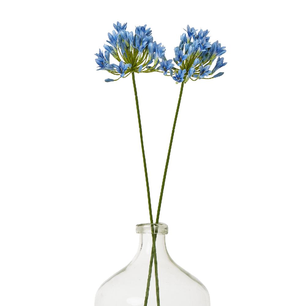 Hill Interiors Blue Agapanthus Stem