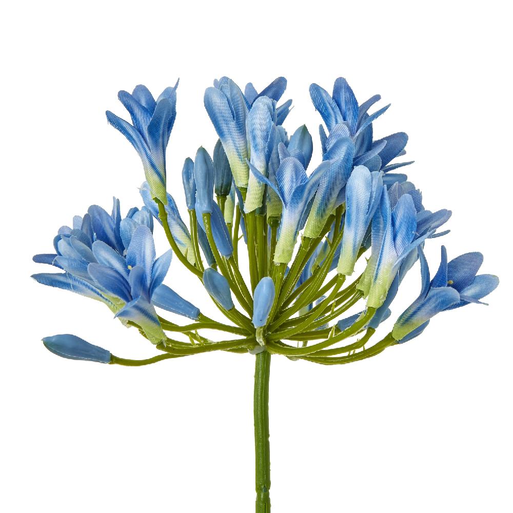 hill interiors Blue Agapanthus Stem