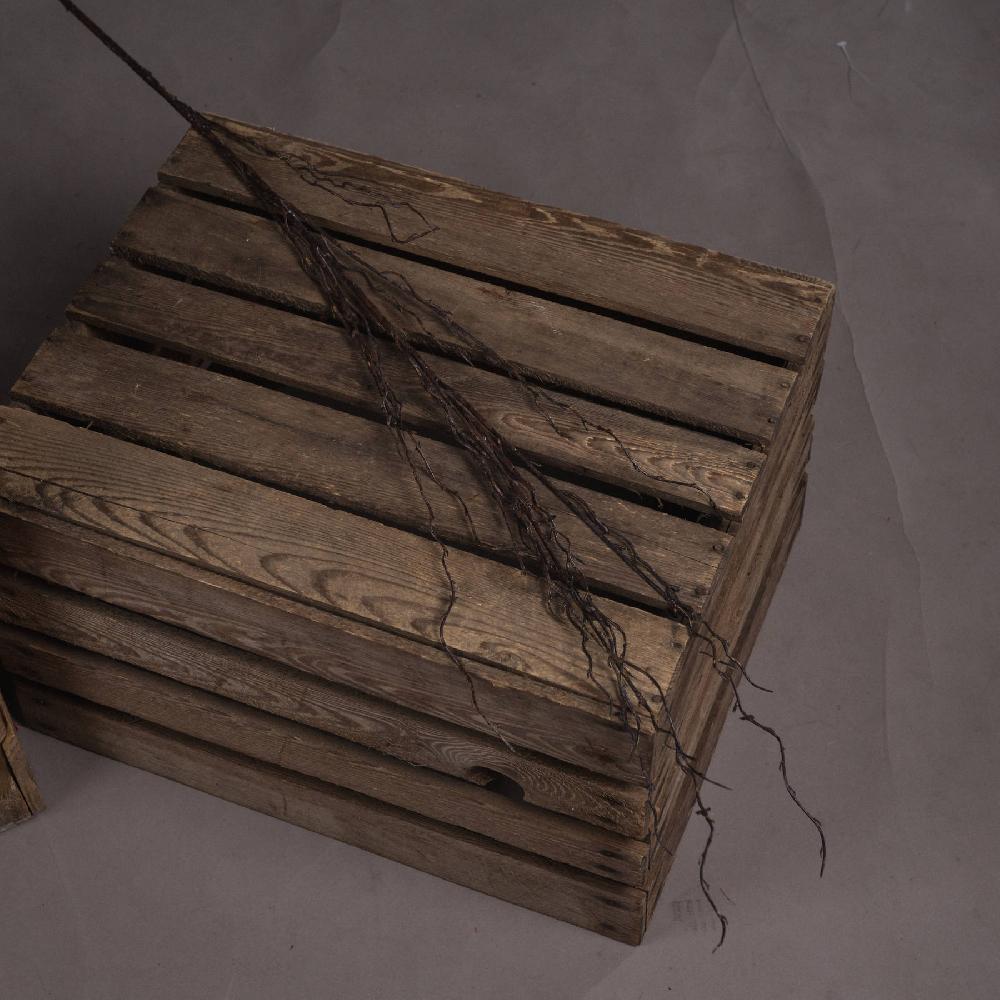 hill interiors Branch Spray