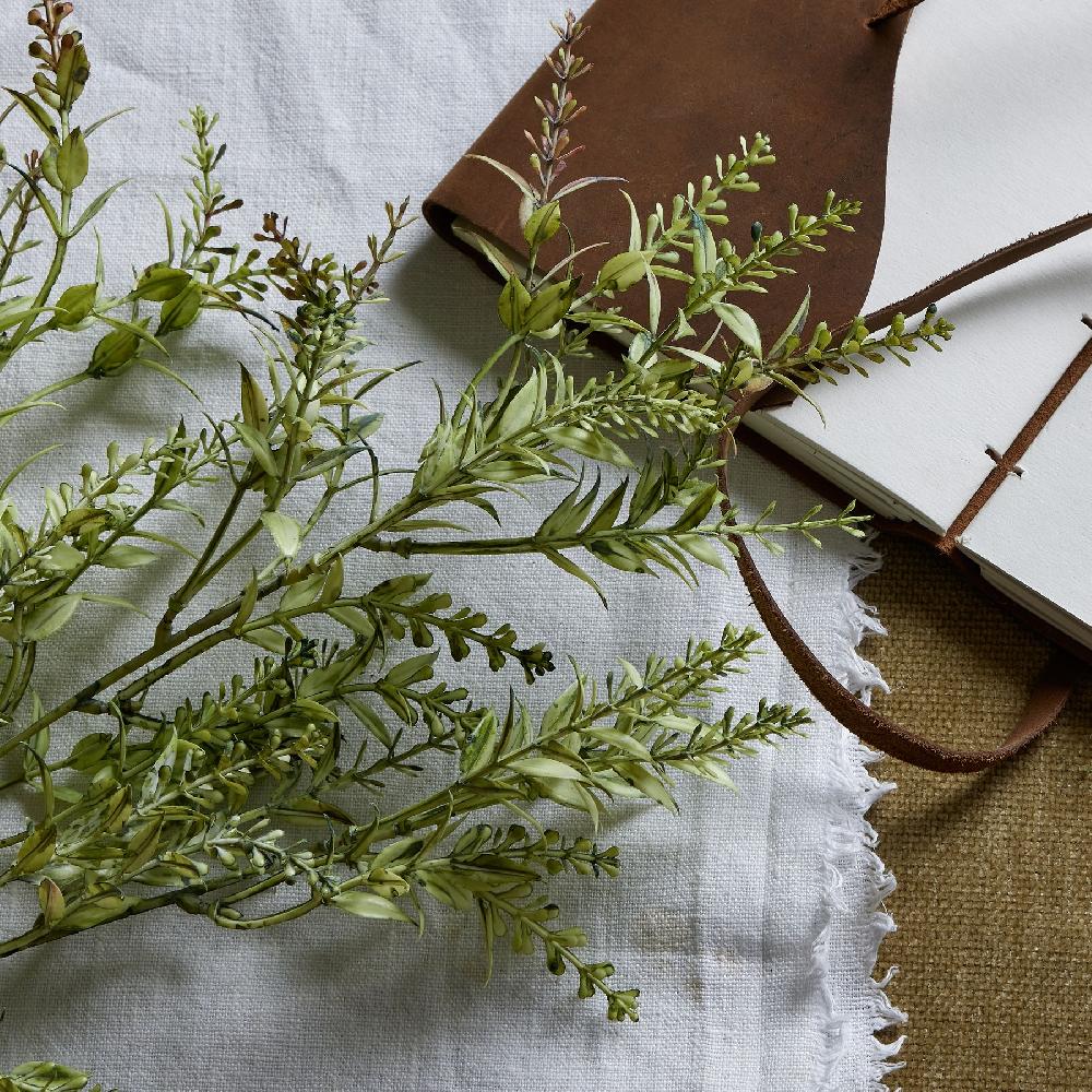 hill interiors Broom Stem