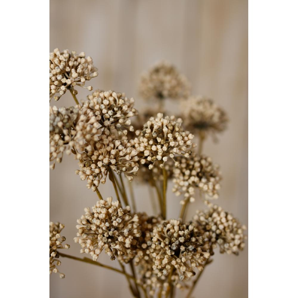Hill Interiors Brown Allium Spray