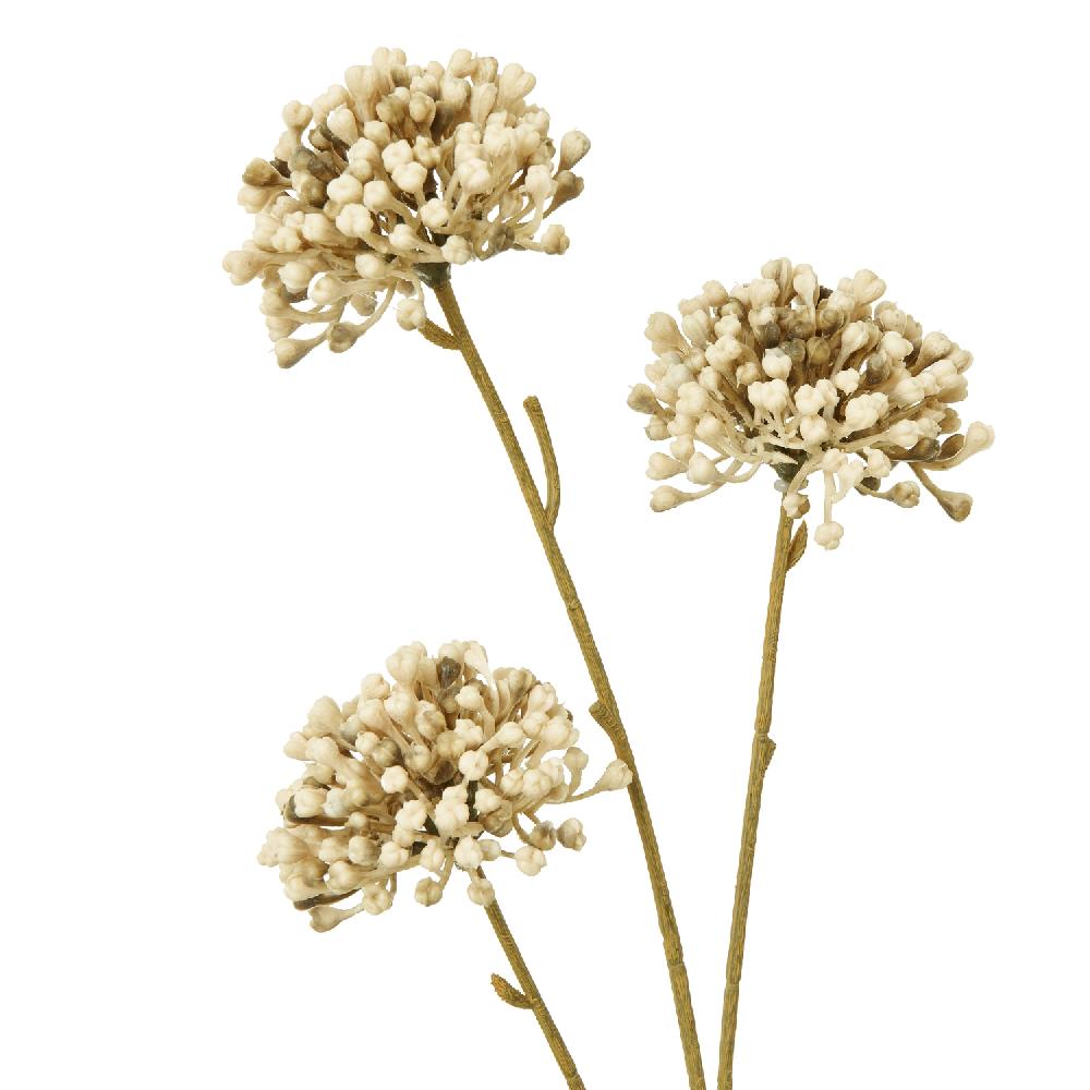 hill interiors Brown Allium Spray