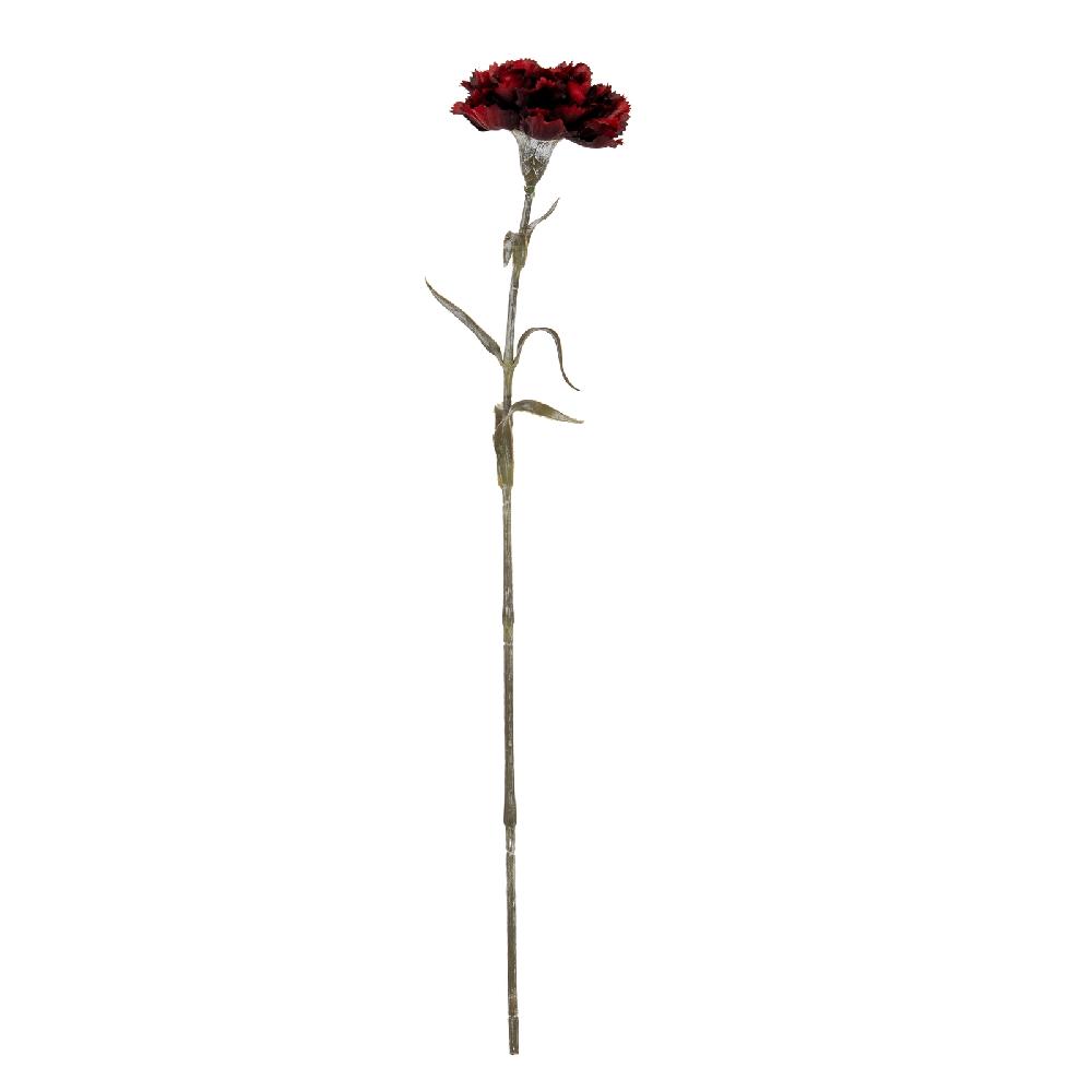hill interiors Burgundy Carnation Stem