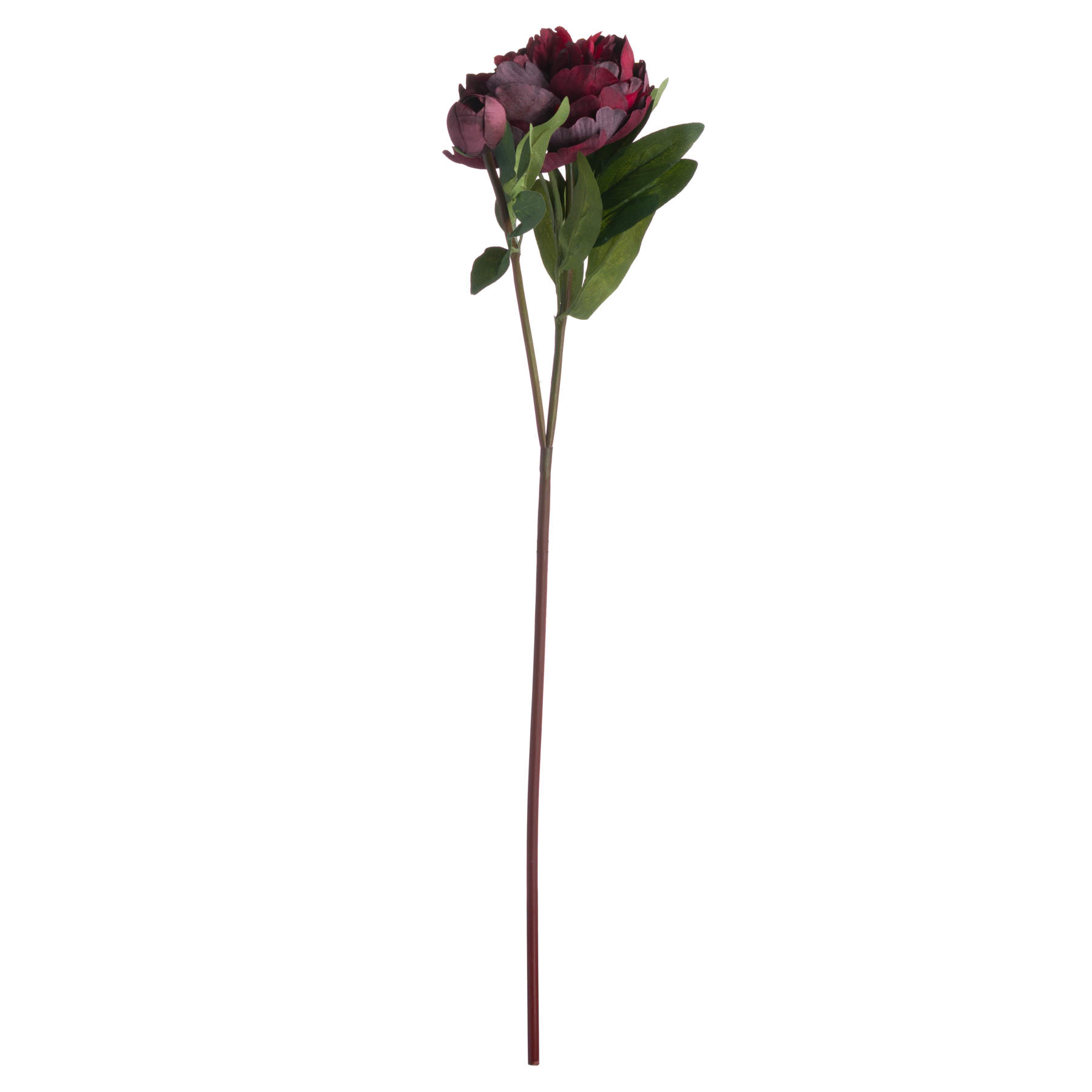 Hill Interiors Burgundy Peony Rose