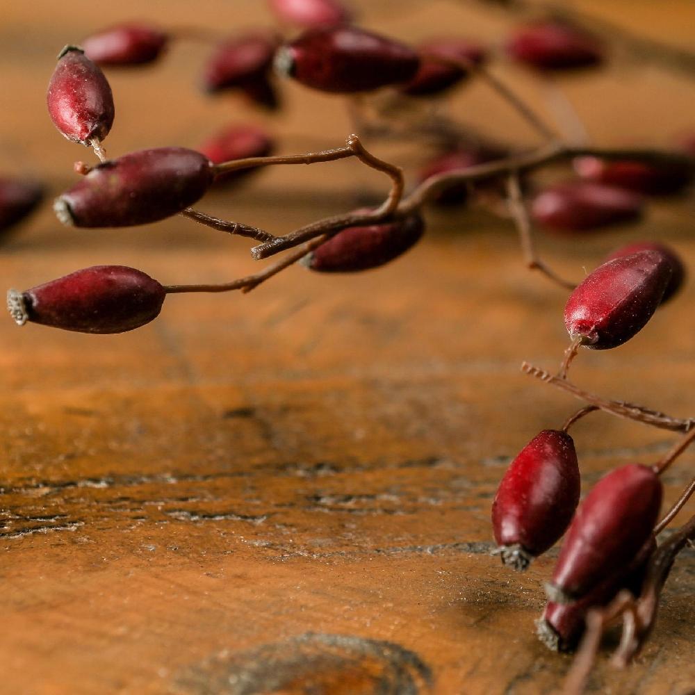 hill interiors Burgundy Rosehip Stem