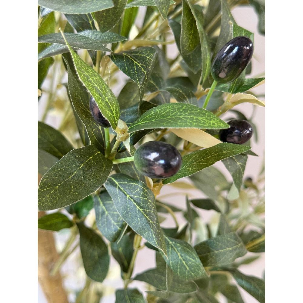 Hill Interiors Calabria Large Olive Tree