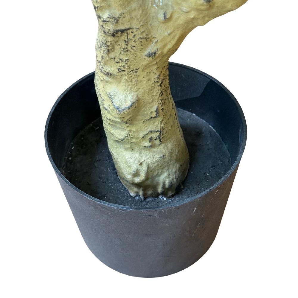 hill interiors Calabria Large Olive Tree