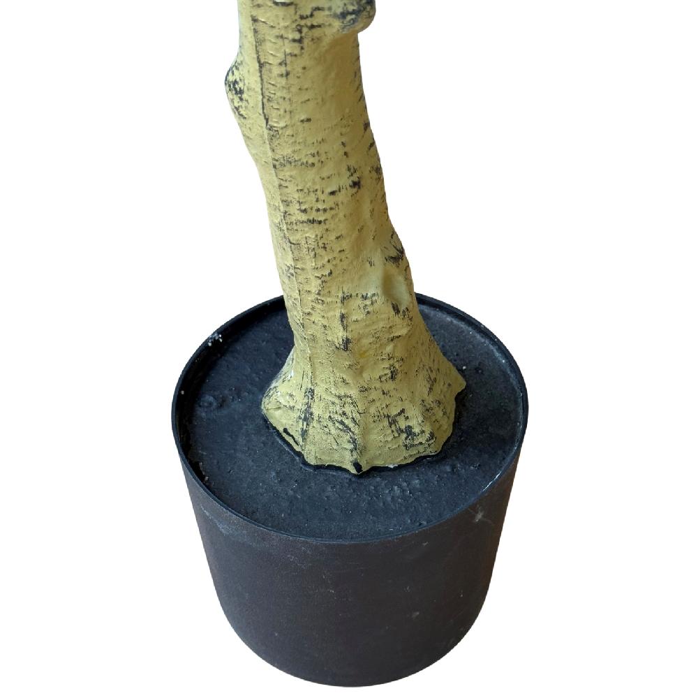 hill interiors Calabria Olive Tree