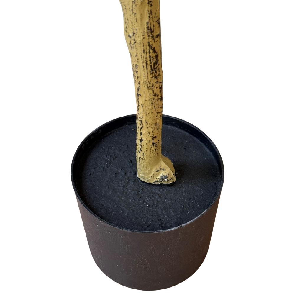 hill interiors Calabria Small Olive Tree