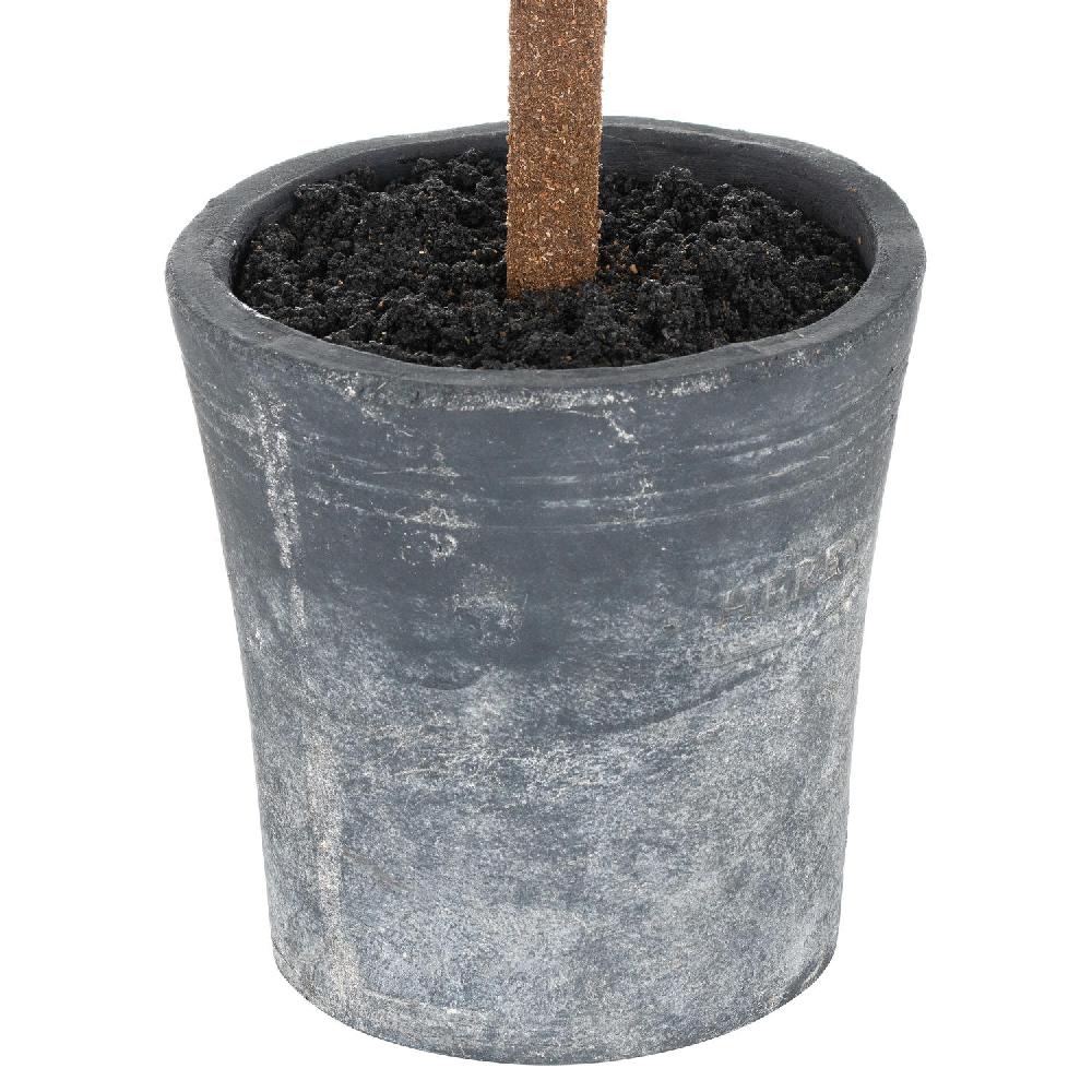 Hill Interiors Christmas Fir Tree In Stone Pot