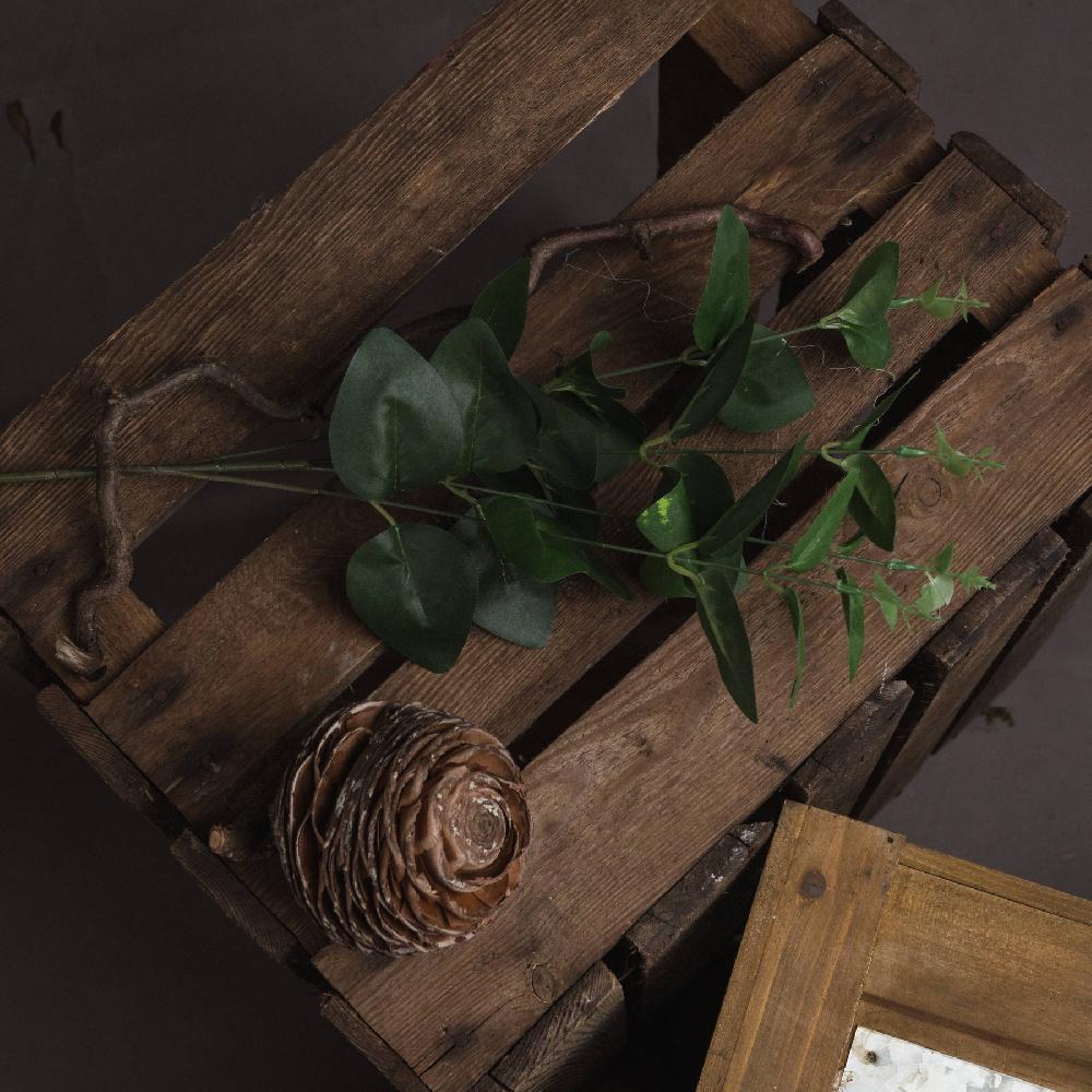 hill interiors Cineraria Eucalyptus Spray