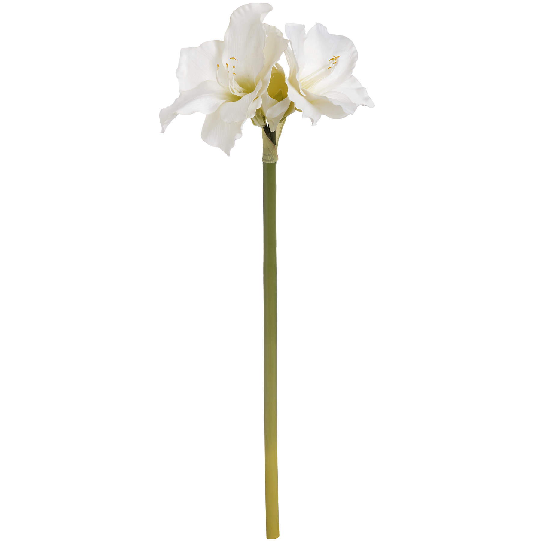 Hill Interiors Classic White Amaryllis Flower