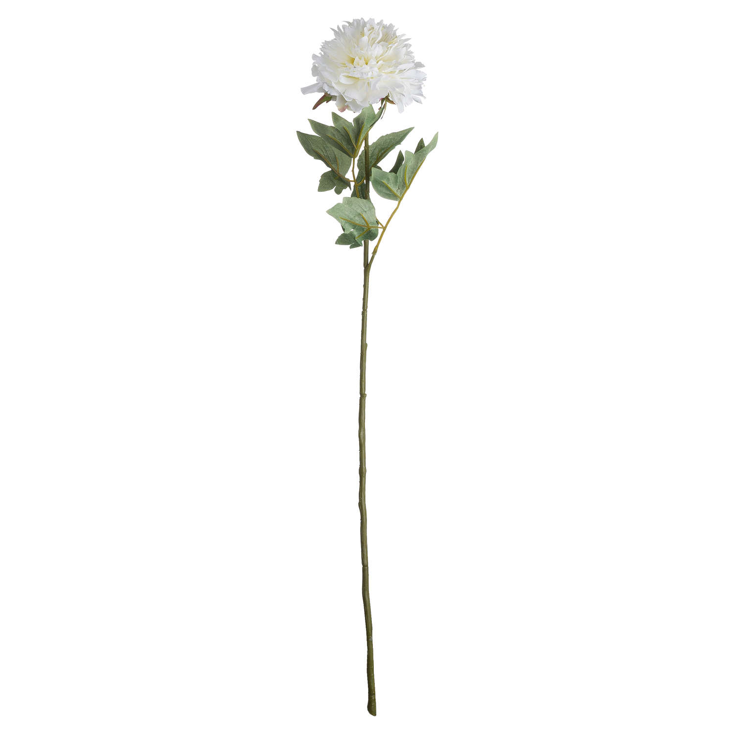 Hill Interiors Classic White Peony