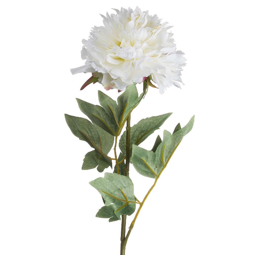 Hill Interiors Classic White Peony