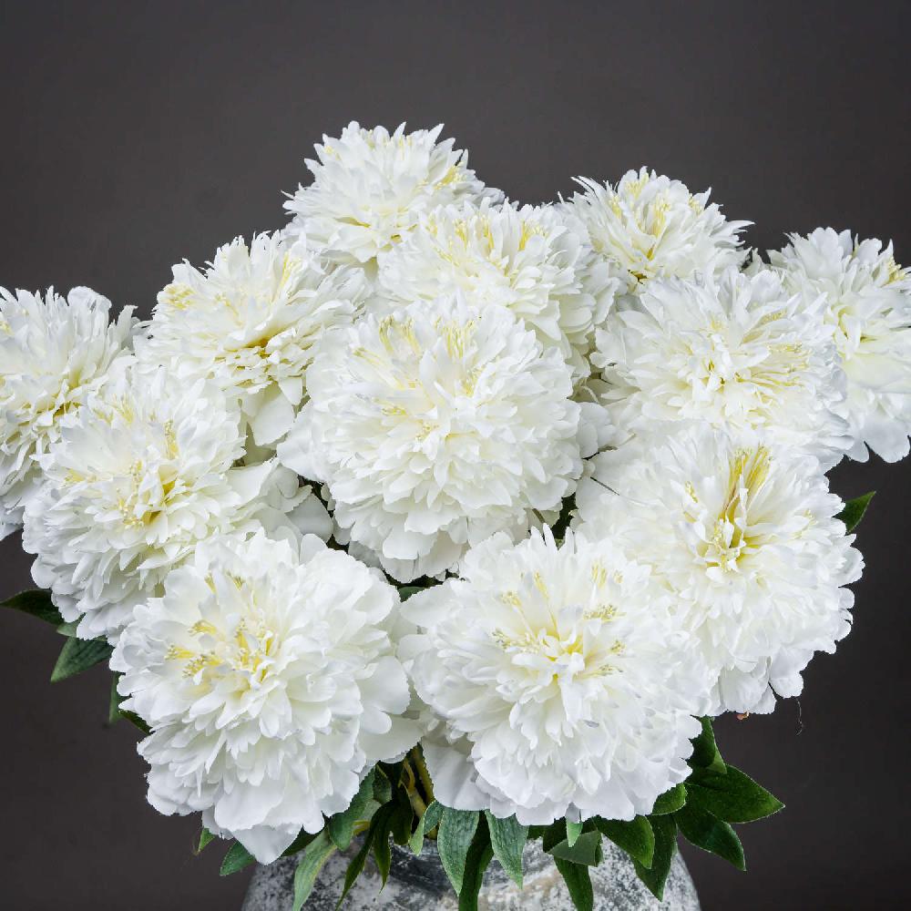 hill interiors Classic White Peony