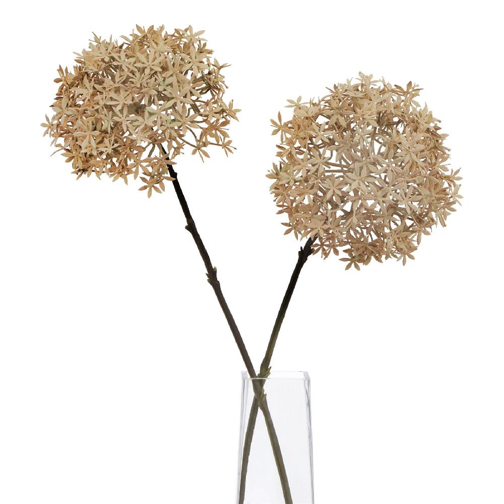 Hill Interiors Coffee Allium